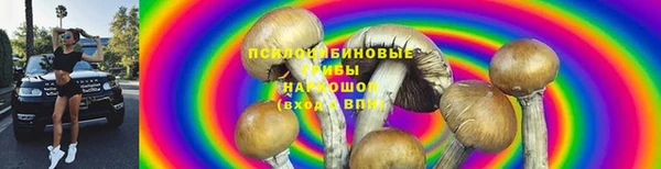 наркотики Белокуриха