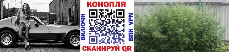 что такое наркотик  Волгореченск  blacksprut зеркало  Марихуана LSD WEED 